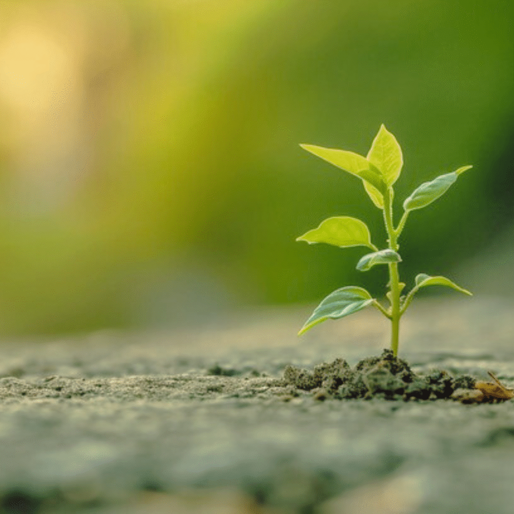 why people pleasing is not who you are