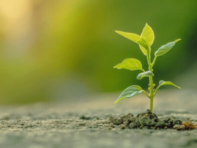 Why People-Pleasing Is Not Who You Are